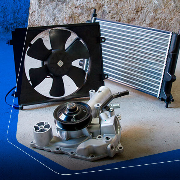 Motor y Partes